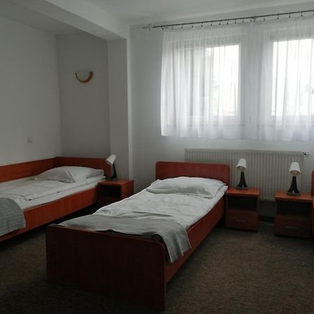 Hotel Dabrowiak Dąbrowa Górnicza Eksteriør billede